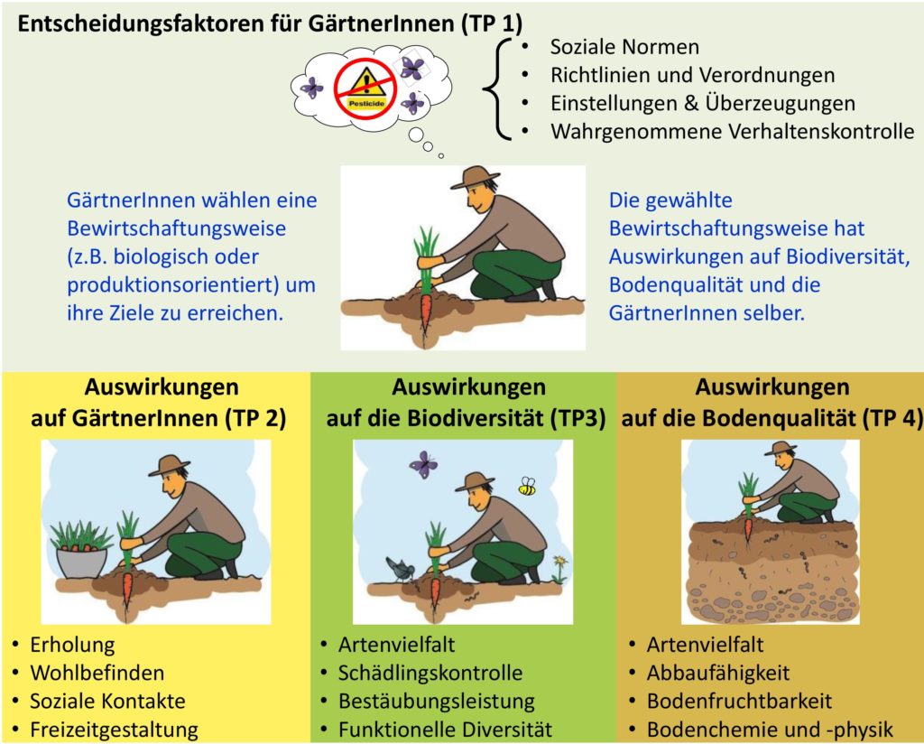 BetterGardens Biodiversität, Bodenqualität und sozialer Wert von